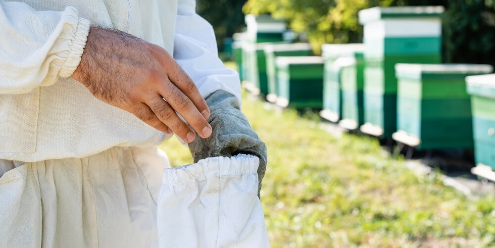 beekeeper putting on bee suit