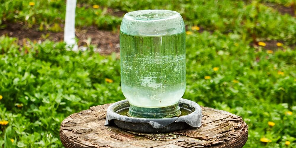 self-dispensing bee waterer