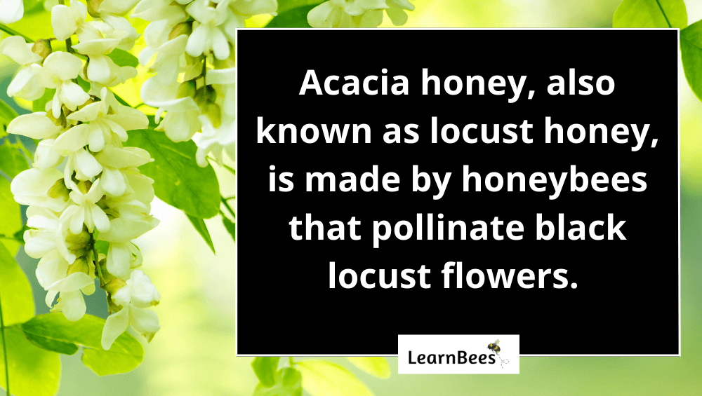 Acacia honey