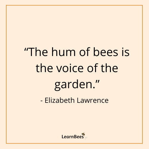 quotes about bees