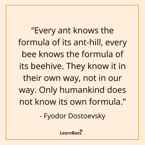 quotes about bees