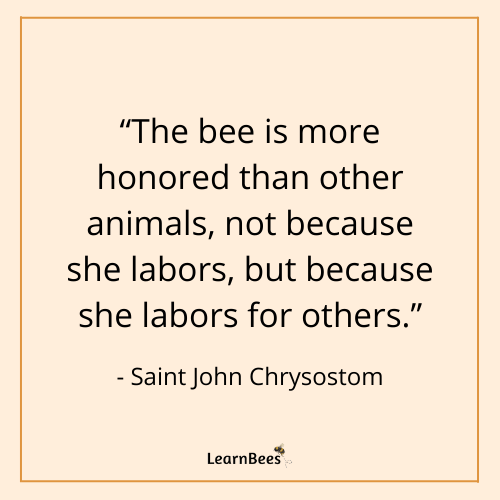 quotes about bees