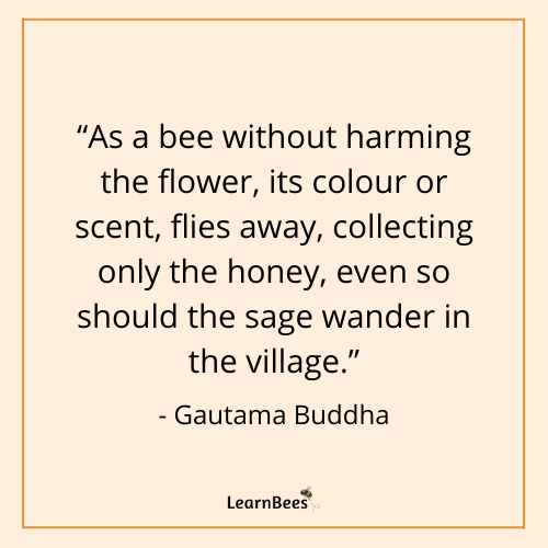 quotes about bees