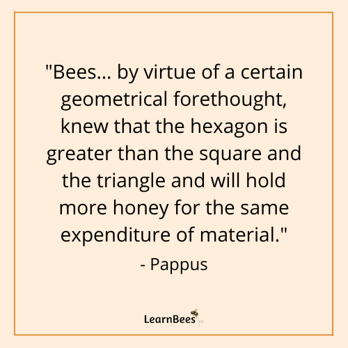 quotes about bees
