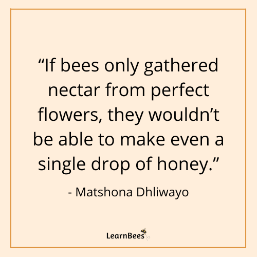 quotes about bees
