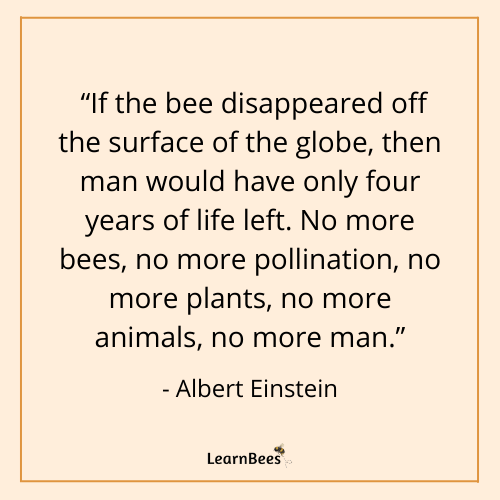 quotes about bees