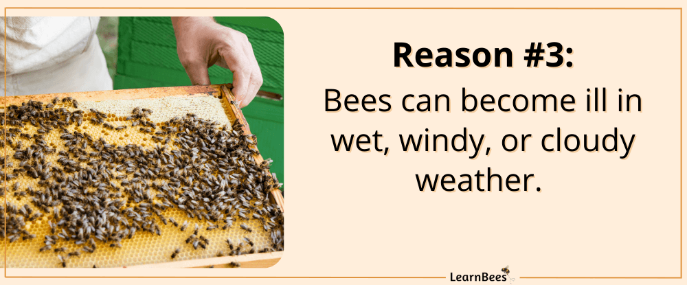 mean bees