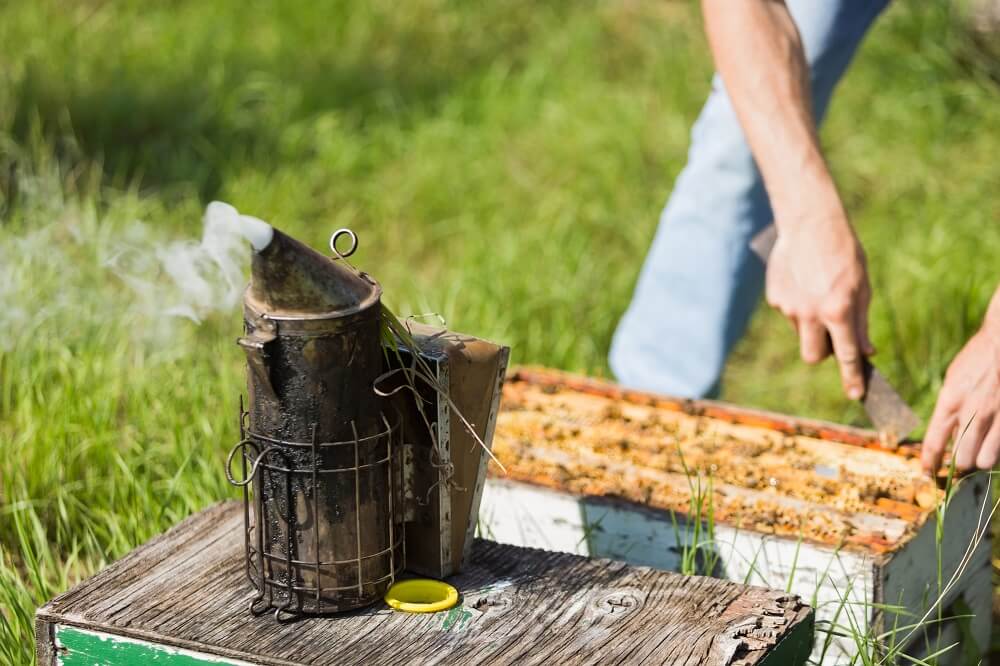 beginning beekeeping supplies
