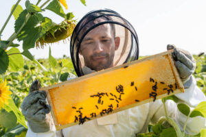 Are honey bees endangered?
