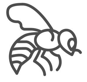 bee icon