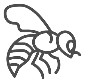 bee icon (transparent)
